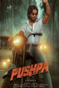 Pushpa: The Rise (2024) South Indian Hindi Dubbed